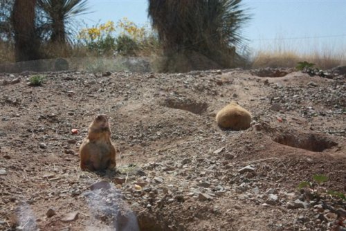 IMG_0908